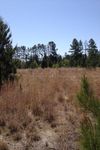 000 Hwy 15/501 photo